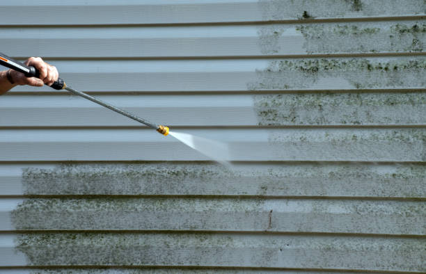 Trusted Woodbine, NJ Pressure Washing Experts